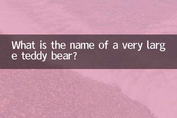 Comment s'appelle un très gros ours en peluche ?