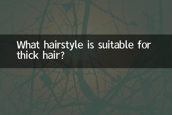 发质硬适合什么发型