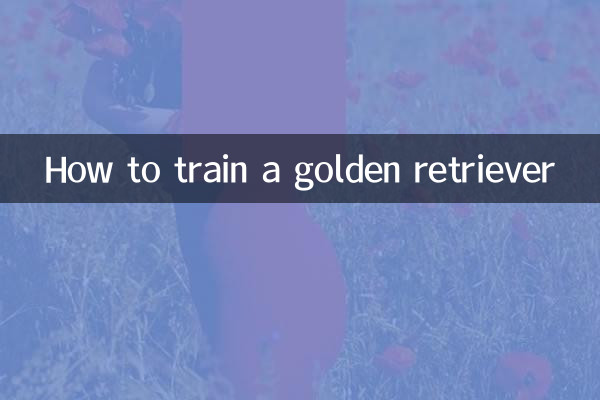 골든 리트리버를 훈련시키는 방법