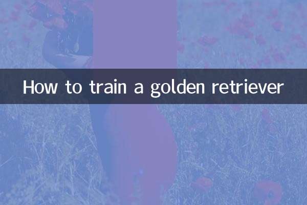 Comment dresser un golden retriever