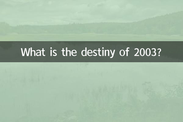 2003년의 운명은?