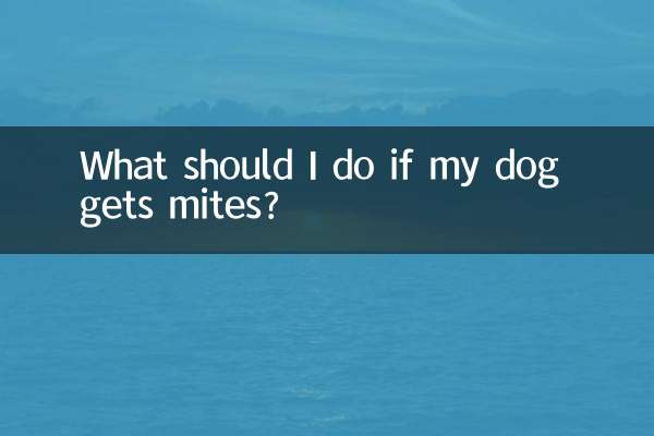 اگر سگم مایت گرفت چه کار کنم؟