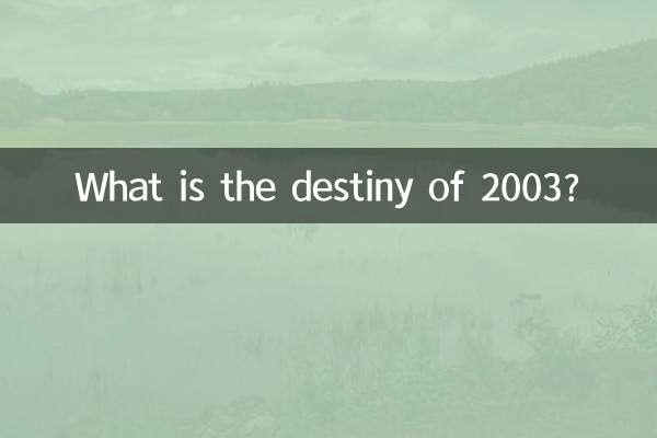 2003년의 운명은?