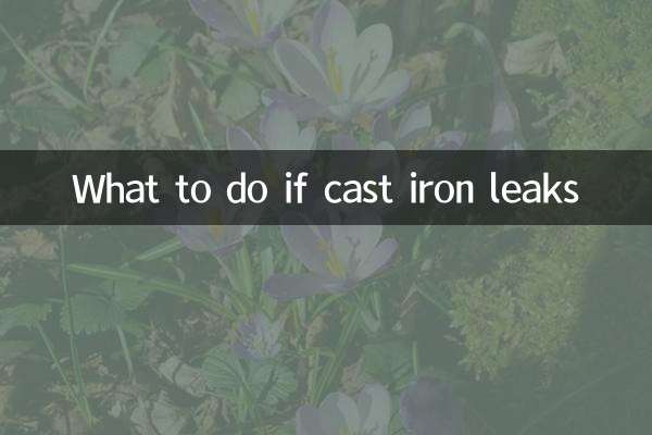 What to do if cast iron leaks