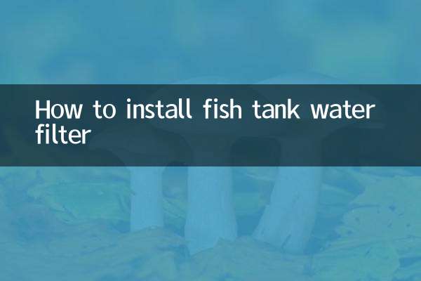 Come installare il filtro dell'acqua nell'acquario
