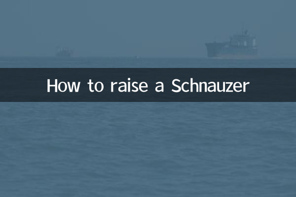 Comment élever un Schnauzer