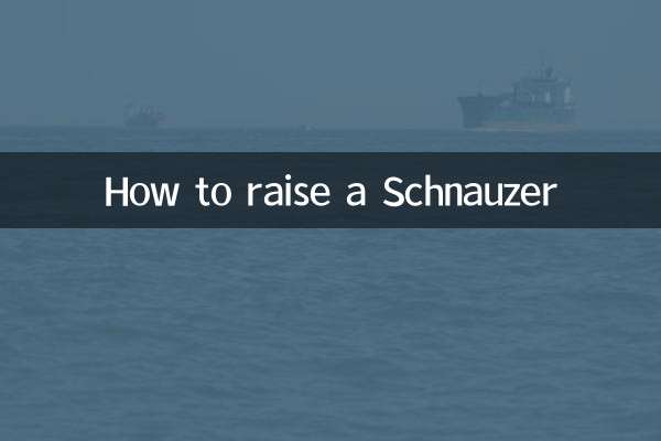 Comment élever un Schnauzer