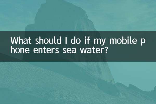 携帯電話が海水に入った場合はどうすればよいですか?