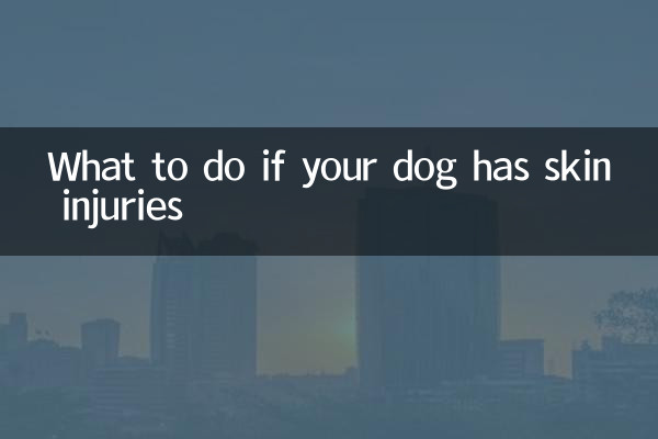 狗狗皮外傷怎麼辦