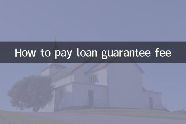 قرض کی گارنٹی فیس کیسے ادا کریں
