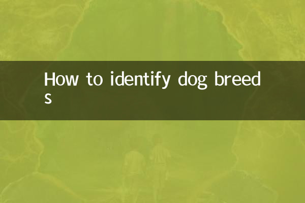 کتے کی نسلوں کی شناخت کیسے کریں