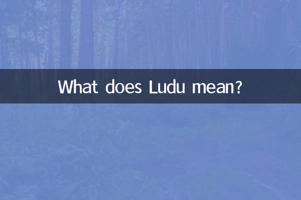 루두는 무슨 뜻인가요?