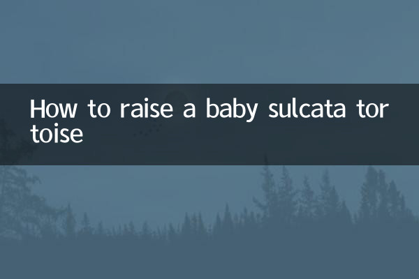 How to raise a baby sulcata tortoise