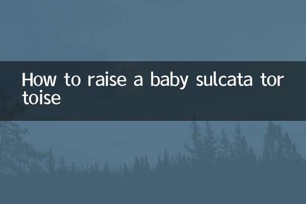 小蘇卡達陸龜怎麼養