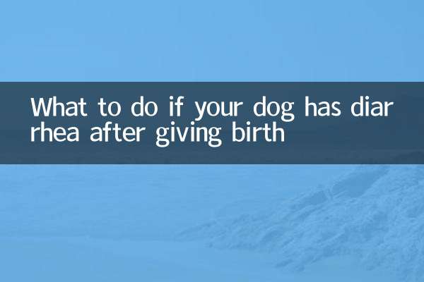 জন্ম দেওয়ার পরে আপনার কুকুরের ডায়রিয়া হলে কী করবেন