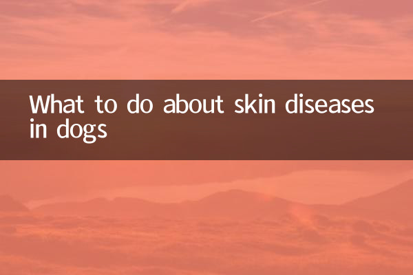 What to do about skin diseases in dogs