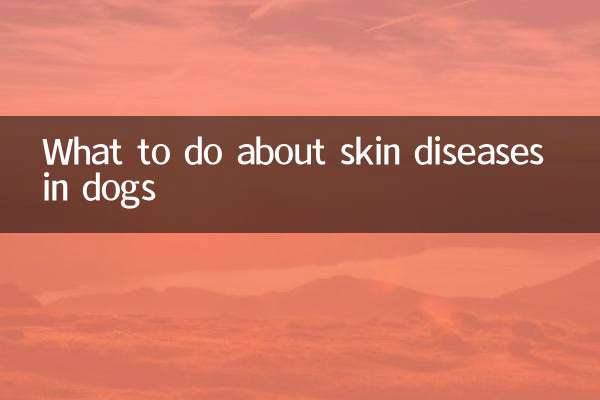 What to do about skin diseases in dogs