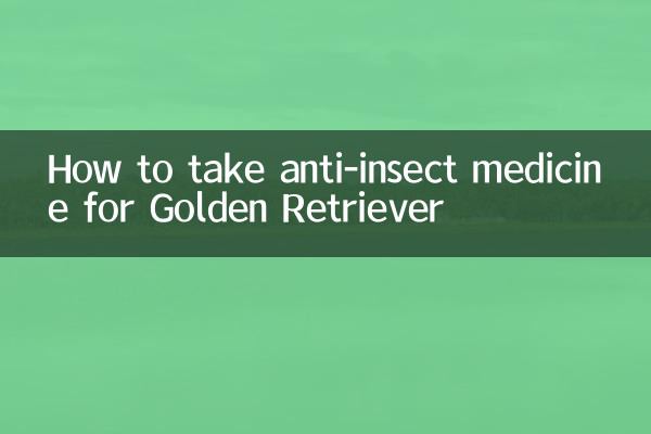 Comment prendre des médicaments anti-insectes pour votre Golden Retriever