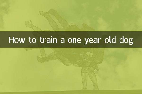 How to train a one year old dog