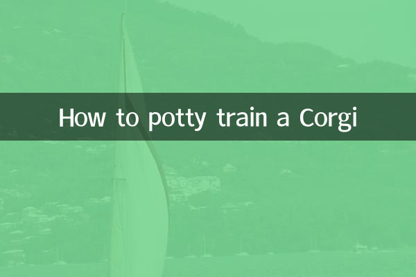 How to potty train a Corgi