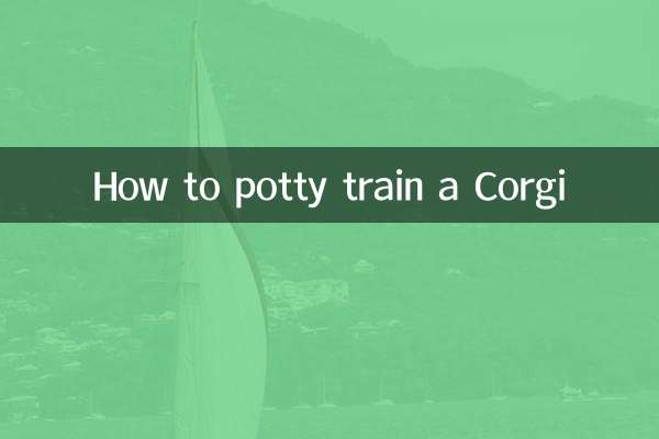 Como treinar um Corgi para usar o penico