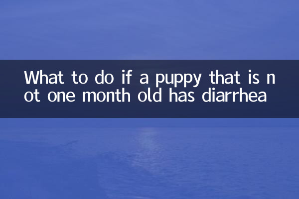 沒滿月的小狗拉肚子怎麼辦