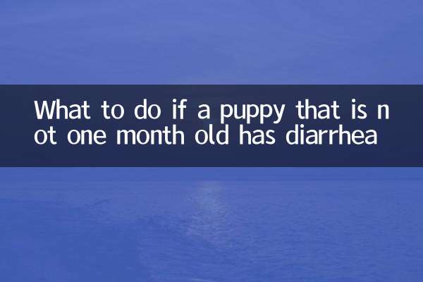 এক মাস বয়সী কুকুরের ডায়রিয়া হলে কী করবেন