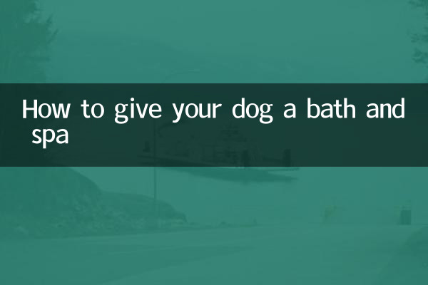 Cómo darle un baño y spa a tu perro