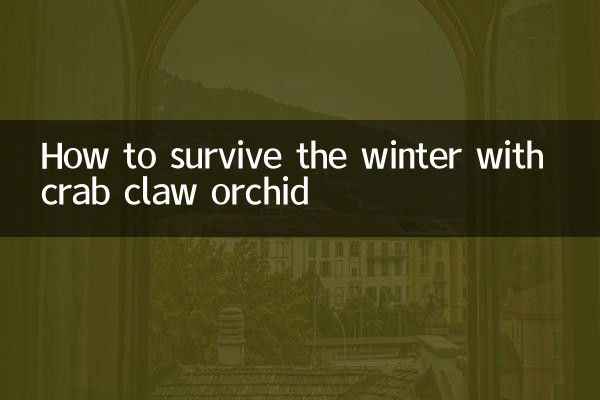 Wie man den Winter mit einer Krabbenkrallenorchidee übersteht