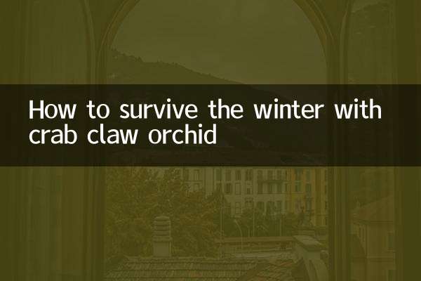 Wie man den Winter mit einer Krabbenkrallenorchidee übersteht