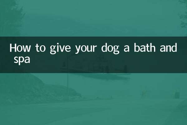 Cómo darle un baño y spa a tu perro