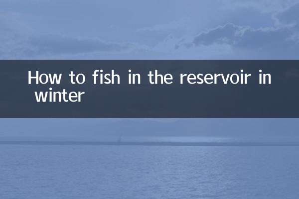 Как ловить рыбу в водоеме зимой