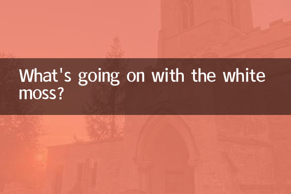 ¿Qué pasa con el musgo blanco?