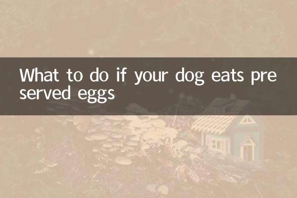 আপনার কুকুর যদি সংরক্ষিত ডিম খায় তবে কী করবেন