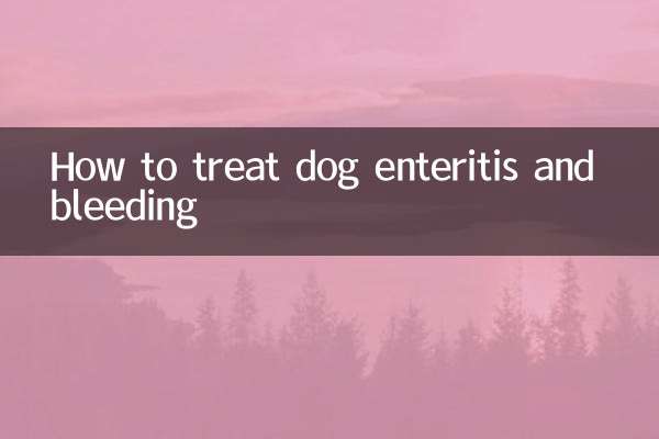 کتے کی انٹرائٹس اور خون بہنے کا علاج کیسے کریں