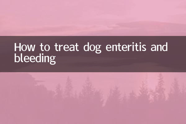 कुत्ते के आंत्रशोथ और रक्तस्राव का इलाज कैसे करें