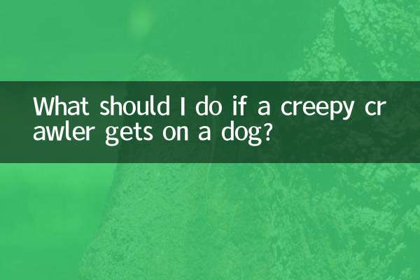 不気味なクローラーが犬に乗ってきたらどうすればいいですか？