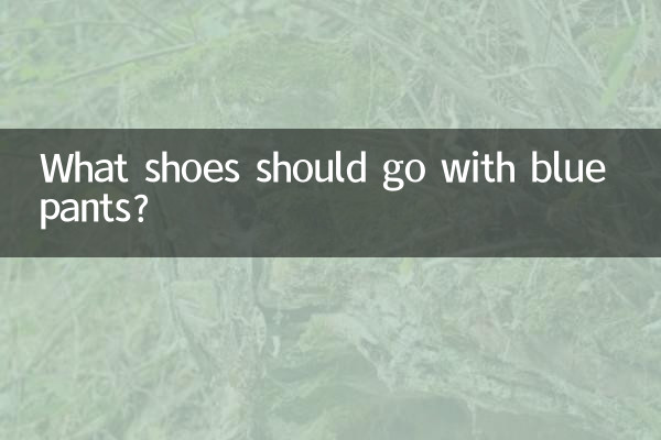 Quali scarpe dovrebbero abbinare ai pantaloni blu?