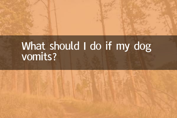 Que dois-je faire si mon chien vomit ?