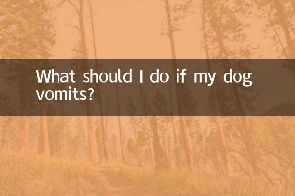 Que dois-je faire si mon chien vomit ?