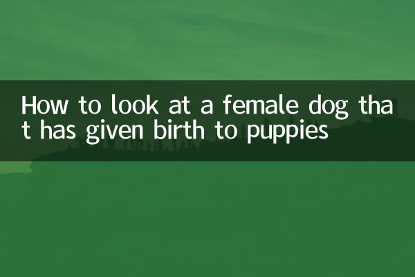 子犬を産んだメス犬の見方