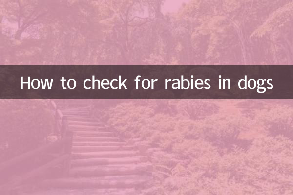 狗的狂犬病怎麼查