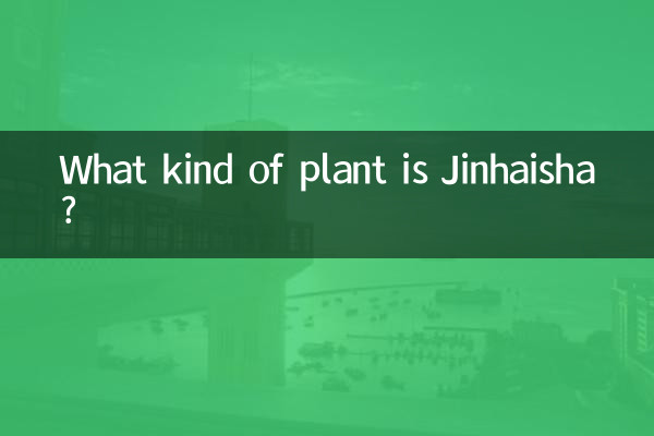 ジンハイシャってどんな植物？