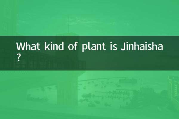 ジンハイシャってどんな植物？