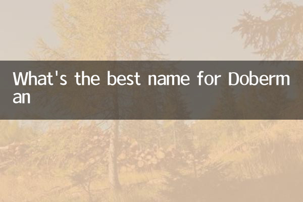 What's the best name for Doberman