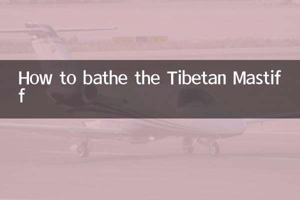 Cómo bañar al mastín tibetano