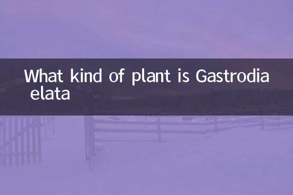 Gastrodia elataはどのような植物です