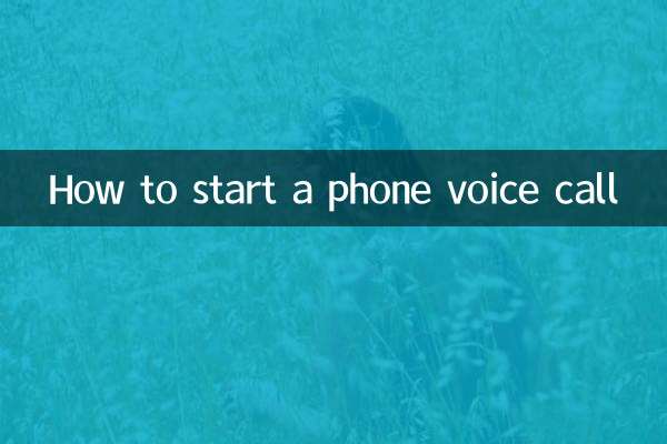 How to start a phone voice call