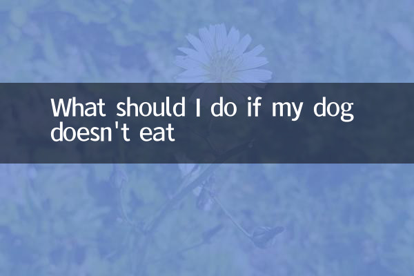 O que devo fazer se meu cachorro não comer
