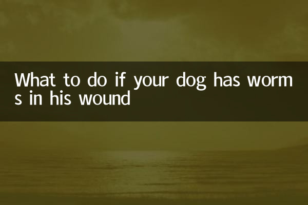 What to do if your dog has worms in his wound